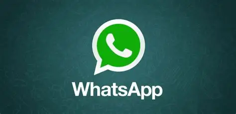 如何高效管理WhatsApp照片？实用技巧帮你省时省心！