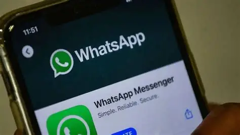 2020年安卓手机下载WhatsApp官方版?手把手教你避坑