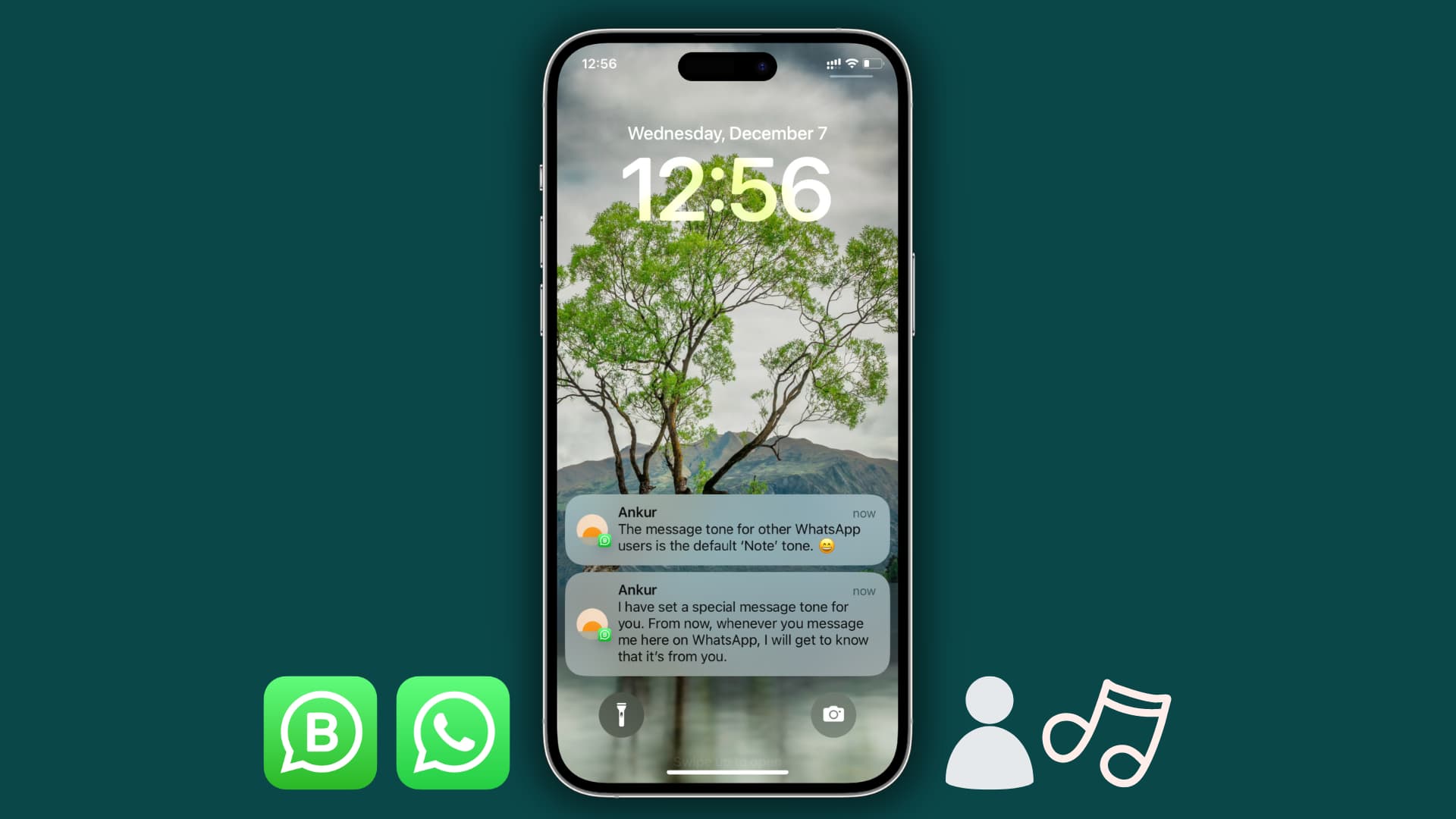 手机WhatsApp图片加载不出来？这些简单方法帮你搞定！